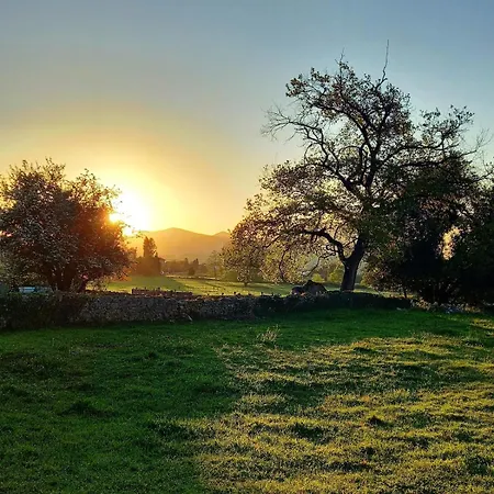 La Vida Sin Reloj A Un Paseo De La Playa بيت للعطل Ancillo