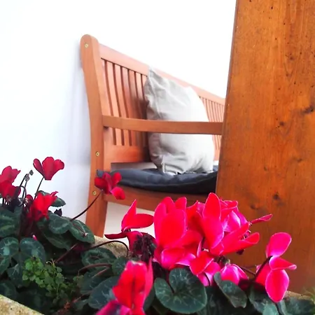 La Vida Sin Reloj A Un Paseo De La Playa